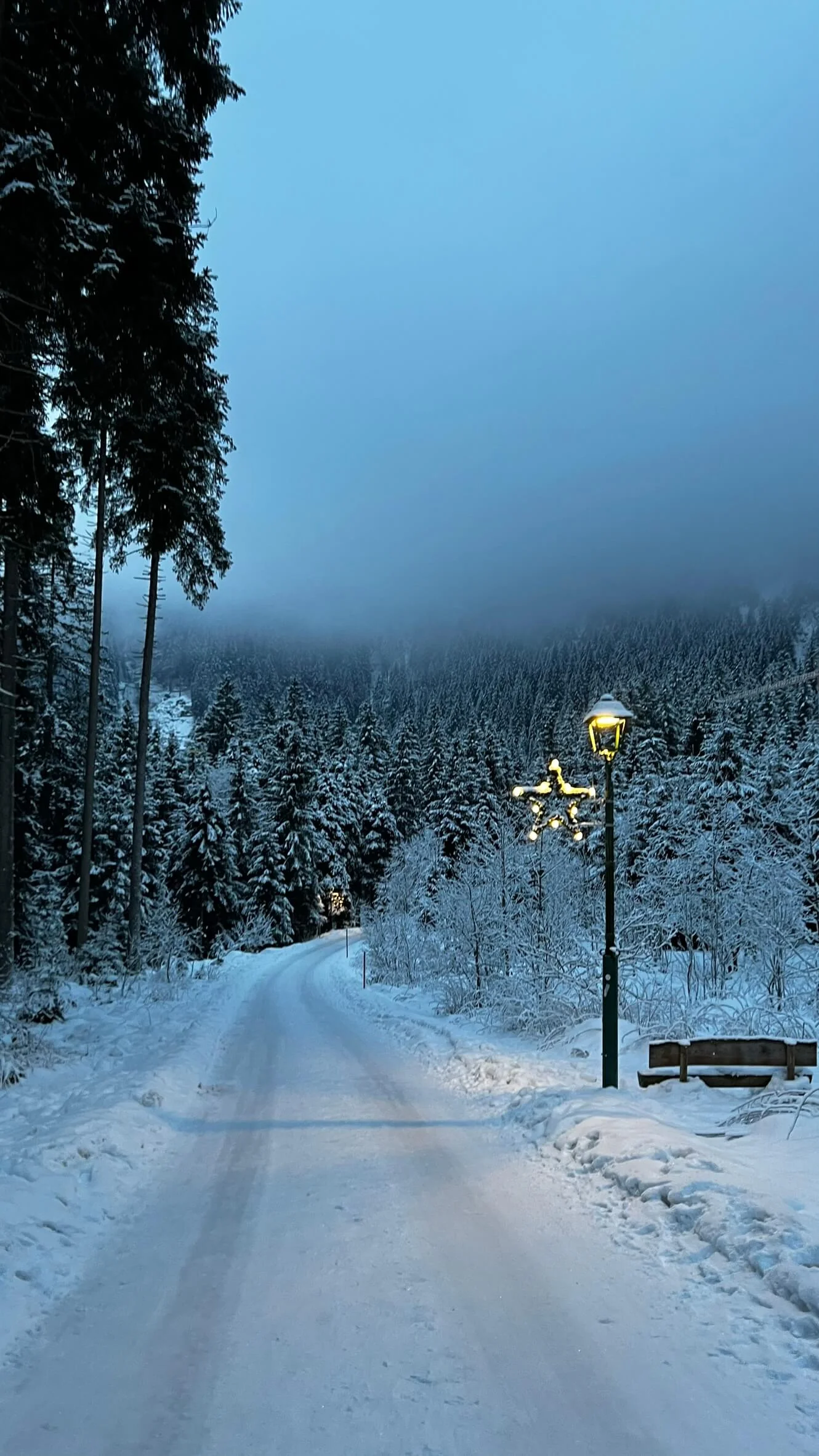 Europe Trip photo 9