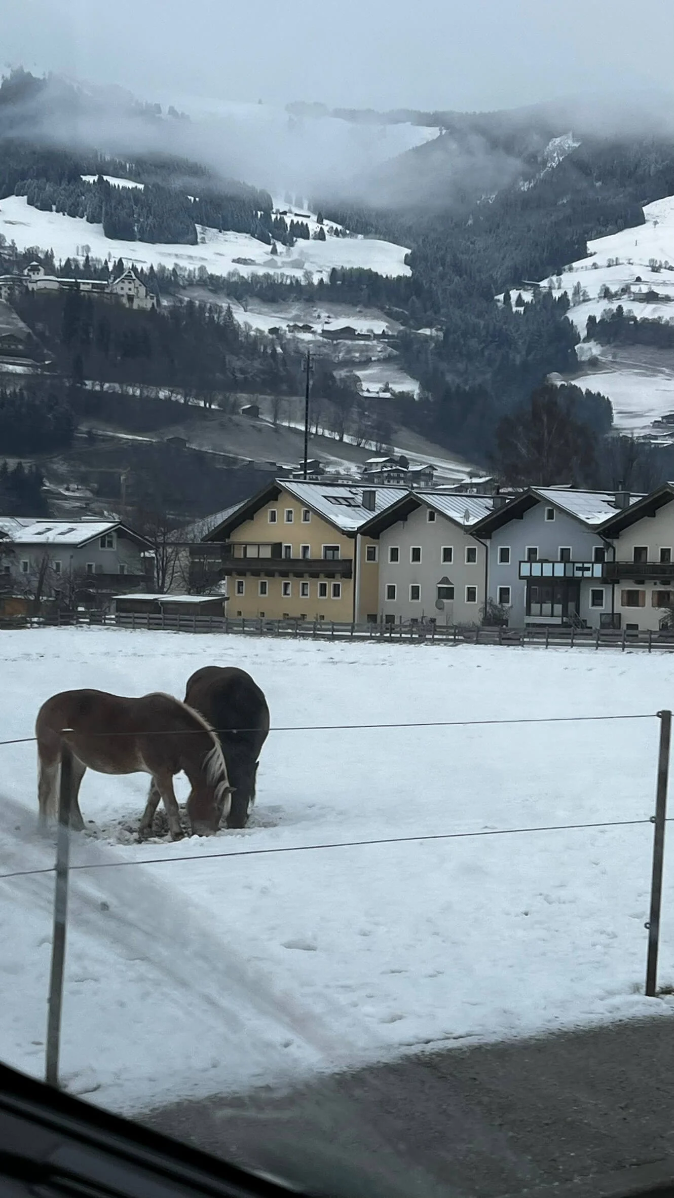 Europe Trip photo 15